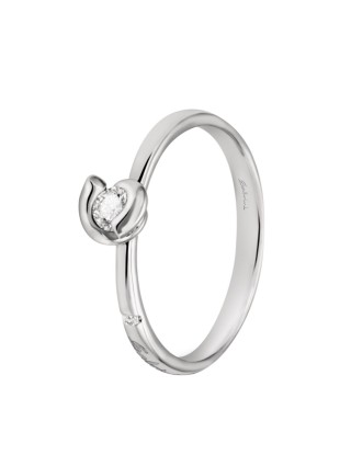 Miniatura prodotto 20055571