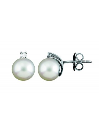 Miniatura prodotto 20048536