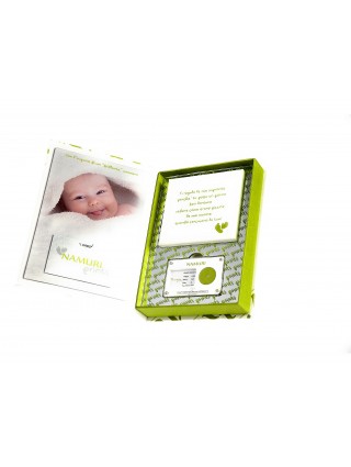 Miniatura prodotto npd17gsi