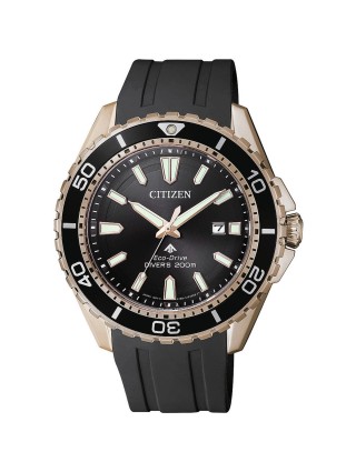 Miniatura prodotto bn0193-17e