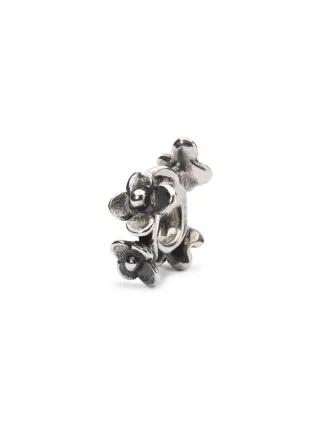 Miniatura prodotto tagbe-00256
