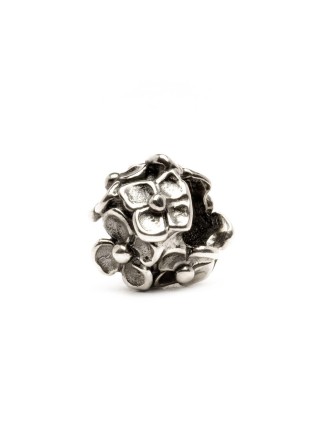 Miniatura prodotto tagbe-10047