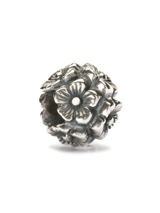 Miniatura prodotto tagbe-50018