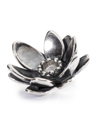 Miniatura prodotto tagpe-00018