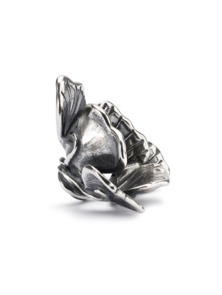 Miniatura prodotto tagpe-00079