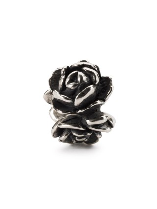 Miniatura prodotto tagbe-00274