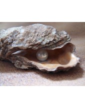 gioielli con perle
